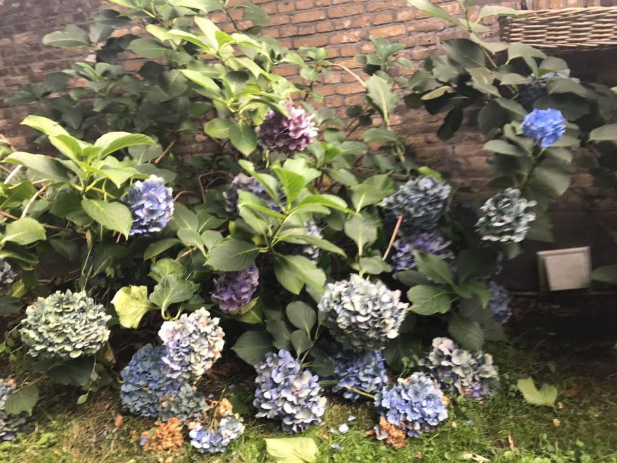 B&B Charming Farmhouse Prinsenbeek Экстерьер фото